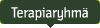 Terapiaryhm&auml;